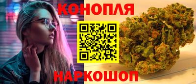 крисы Заводоуковск