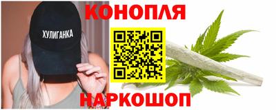 крисы Заводоуковск