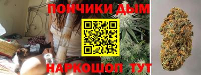 крисы Заводоуковск