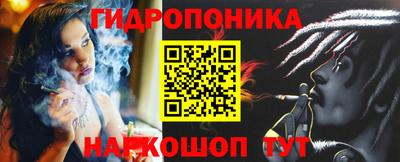 крисы Заводоуковск