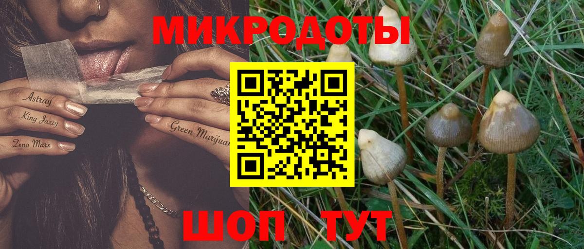 Галлюциногенные грибы Psilocybe  Вход с VPN  Мыски 