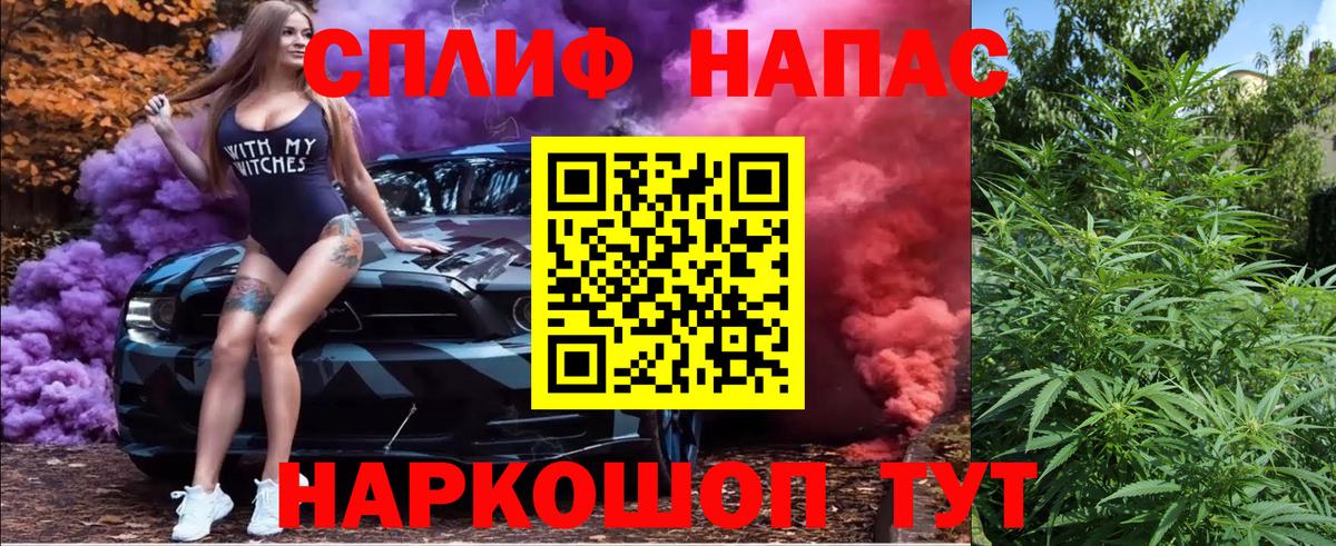 Шишки марихуана план Мыски